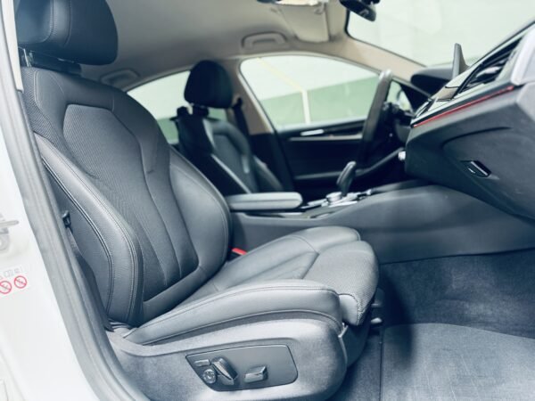 2021 BMW Serie 5 520IA - Imagen 9