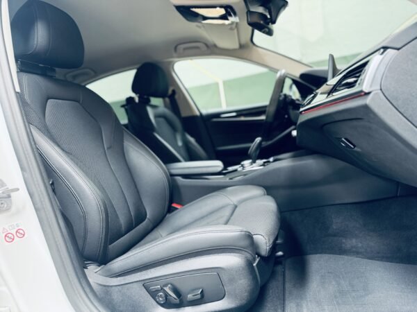 2021 BMW Serie 5 520IA - Imagen 10