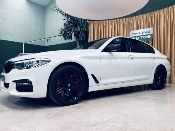2021 BMW Serie 5 520IA - Imagen 13