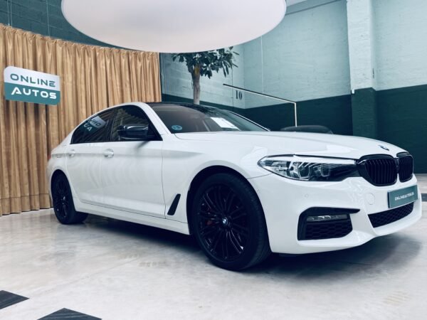 2021 BMW Serie 5 520IA - Imagen 14